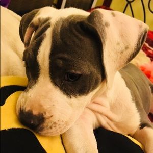 Meet your Posher, Flor